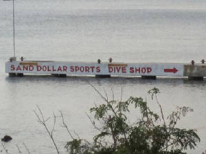 SandDollarDock.JPG